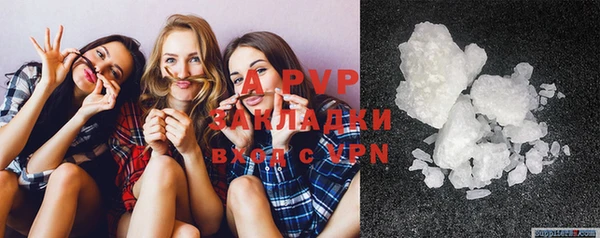 прущие крисы Надым