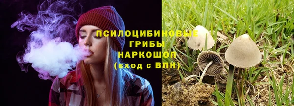гидра Аксай