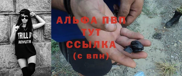 спиды Нефтекумск