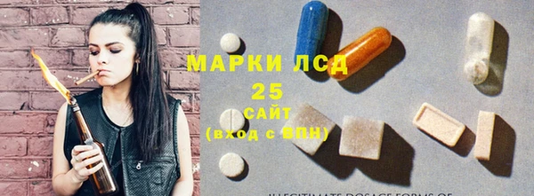 спиды Нефтекумск