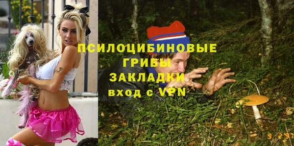 прущие крисы Надым