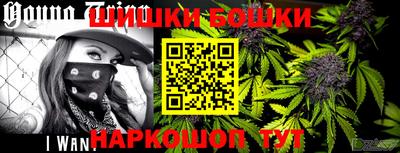 крисы Заводоуковск