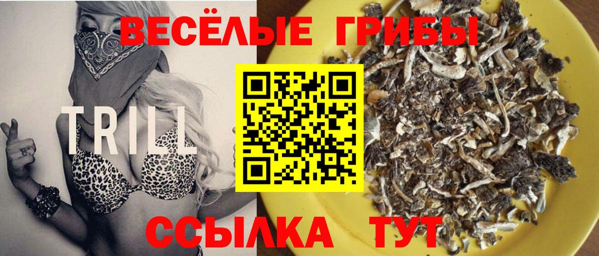 Галлюциногенные грибы Cubensis Мыски