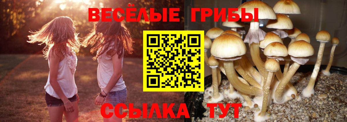 Псилоцибиновые грибы мицелий  Вход с VPN  Мыски 