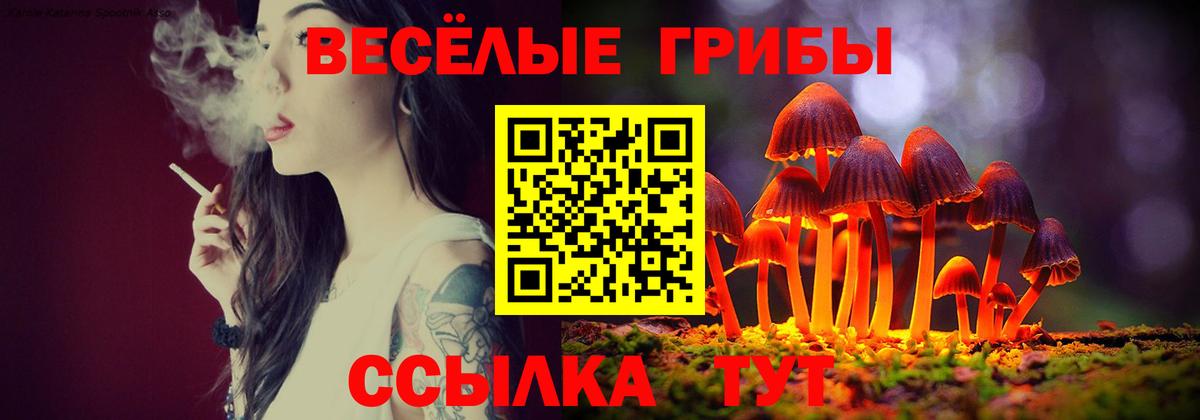 Галлюциногенные грибы мицелий  Мыски 